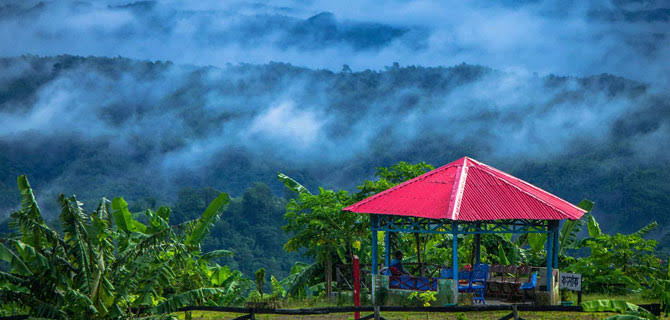 প্রাকৃতিক সৌন্দর্যে ভরপুর সাজেক
